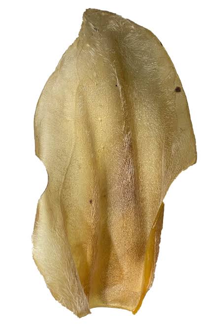 Cow Ear ear x1