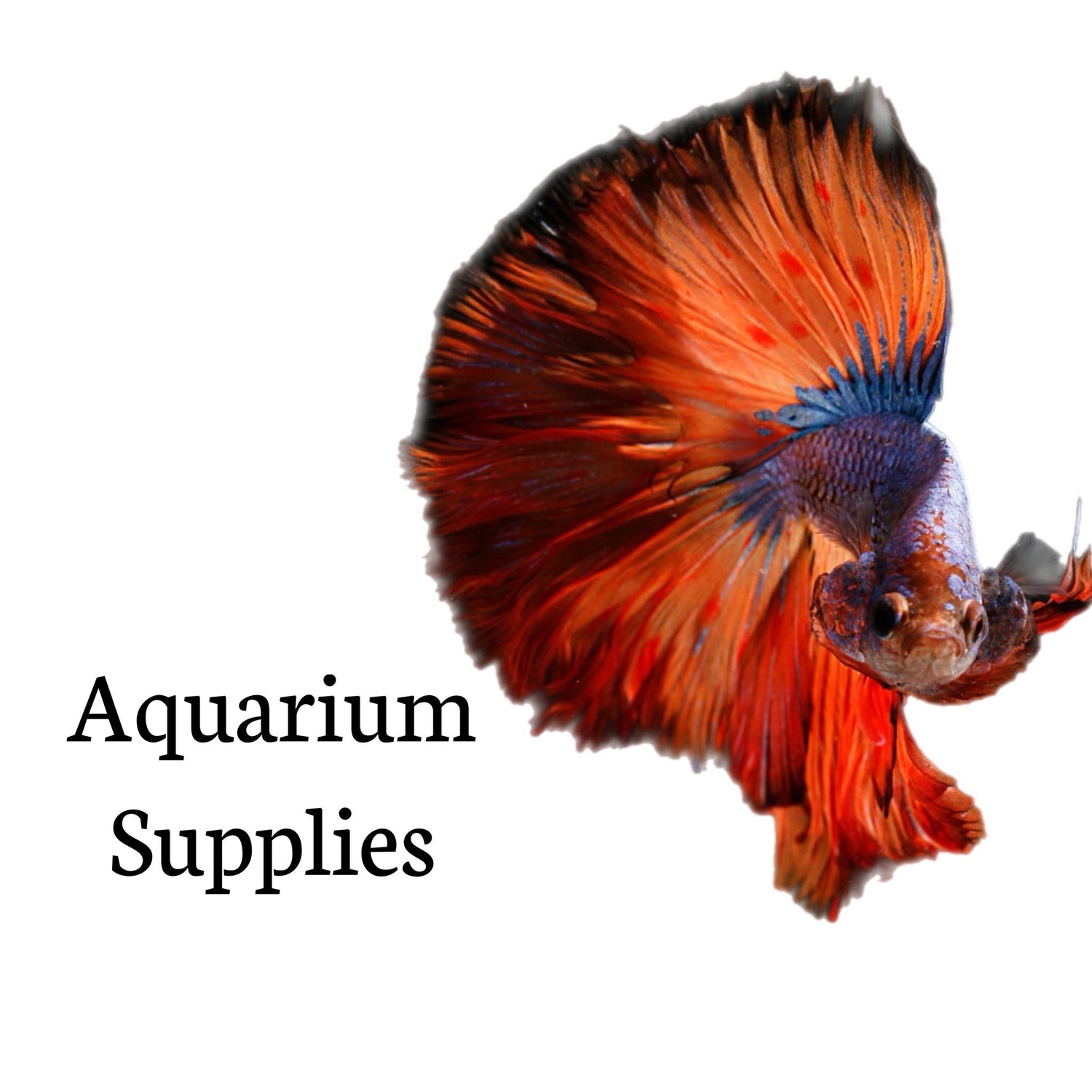 Aquarium Supplies