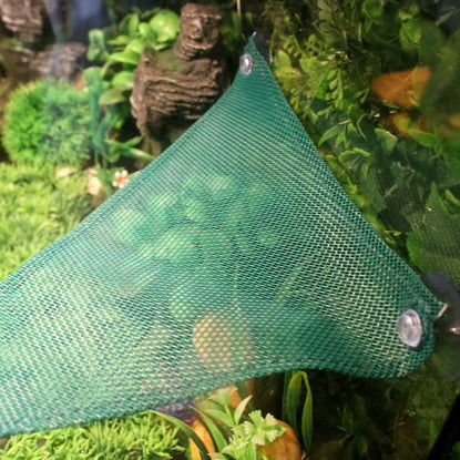 Reptile Hammock