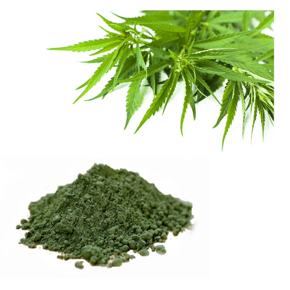 Pawsome Hemp Seaweed 100ML