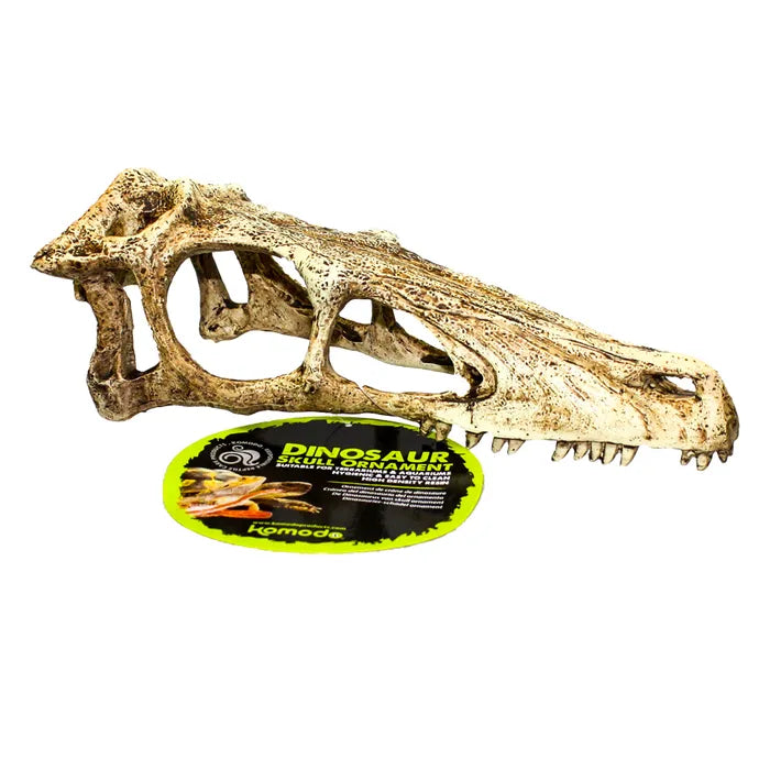 Komodo Raptor Skull